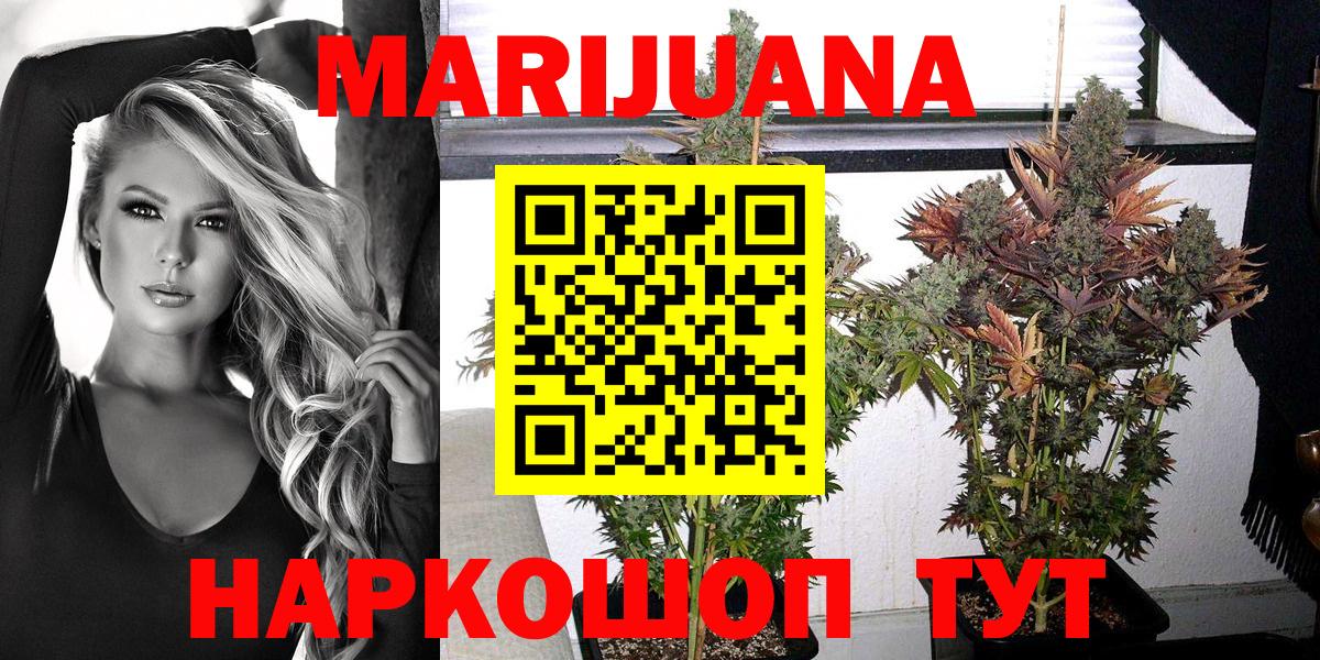 Бошки марихуана White Widow Великий Устюг
